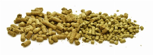 Chmiel USA do miodu pitnego 20g