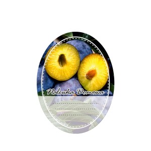 Etykieta na butelkę owalna - Nalewka Domowa Śliwka