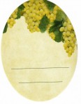 Etykieta owalna BIAŁE WINOGRONA